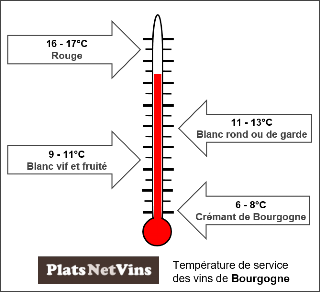 Température de service des vins de Bourgogne